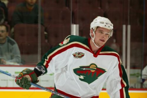 Zbyněk Michálek v dresu Minnesota Wild při zápase