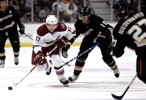 Radim Vrbata při zápase NHL za Arizona Coyotes